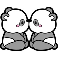 kissing pandas in love