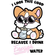 cute corgi "drink water"