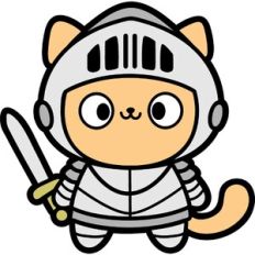 cute knight cat
