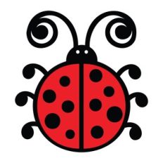Ladybug
