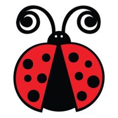 Ladybug