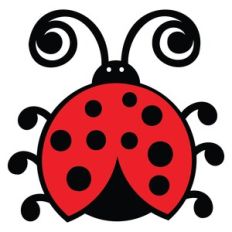 Ladybug
