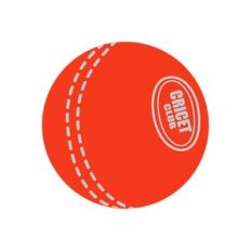 Cricket Ball