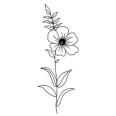 Wildflower