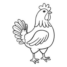 Cockerel
