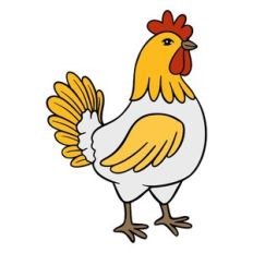Cockerel