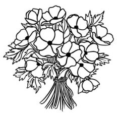 Anemones