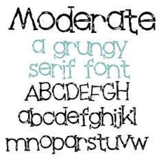 ZP Moderate