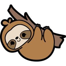 cute hanging sloth