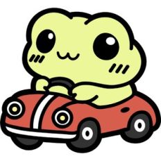 cute driving frog