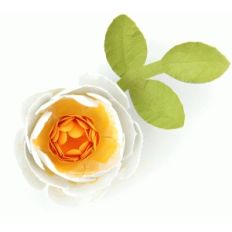 3d beautiful flower