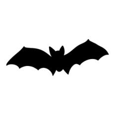 Bat