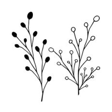 Twig and Berries