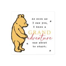 Pooh Grand Adventure