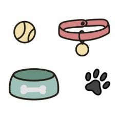Dog accesories