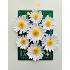 Mini Daisies