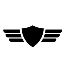 Pilot Wings