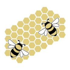 Bee and Honeycomb