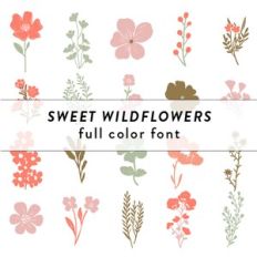 sweet wildflowers full color font