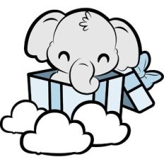 cute baby boy elephant present