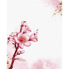 Cherry Blossom Watercolor Cover Card