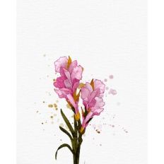 Gladiolus Watercolor Cover Card