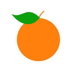 Orange Fruit