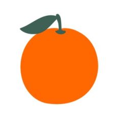 Orange Fruit