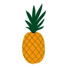 Pineapple Fruit