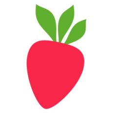Strawberry Fruit
