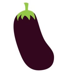Eggplant Vegetable