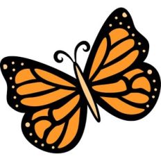 simple butterfly