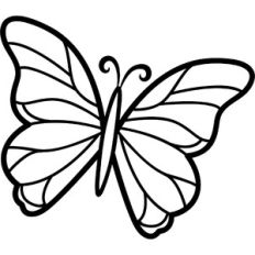 outline butterfly
