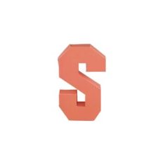 Letter S 3D