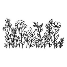 Wildflower Border