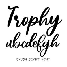 BFC Trophy Brush Script Cursive Wedding Font