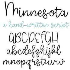 ZP Minnesota Light