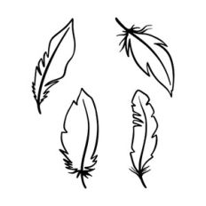 Set of feather