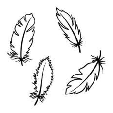 Set of feather