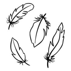 Set of feather