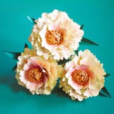 Flower Bag Peony