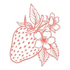 Strawberries