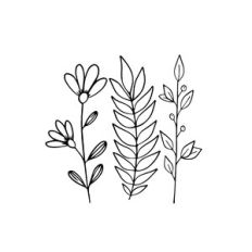 Botanicals, Leaves, Flowers