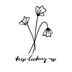 Keep Looking Up