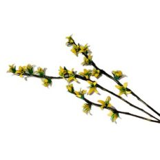 Forsythia 3-D Paper Flowers