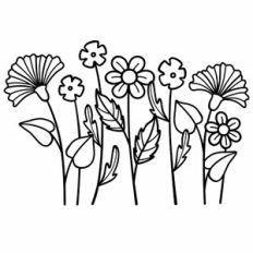 wildflowers