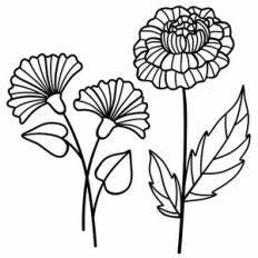peony and celosia
