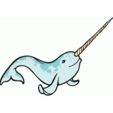 norm the narwhal