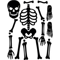 positionable skeleton