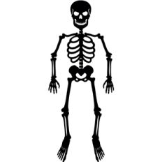 skeleton
